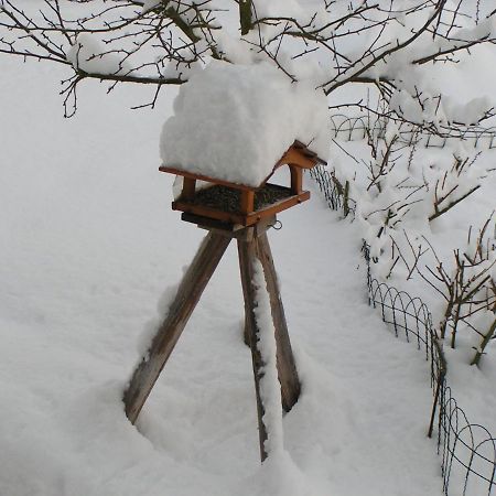 Fewo Talula - Sauerland Mit Hund Medebach Luaran gambar