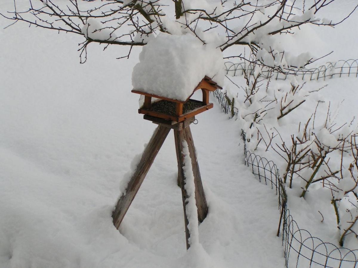 Fewo Talula - Sauerland Mit Hund Medebach Luaran gambar