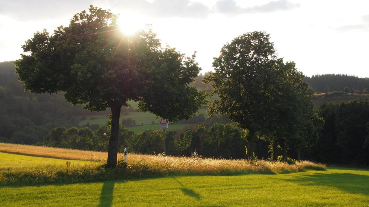 Fewo Talula - Sauerland Mit Hund Medebach Luaran gambar