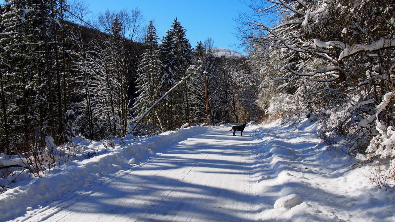 Fewo Talula - Sauerland Mit Hund Medebach Luaran gambar