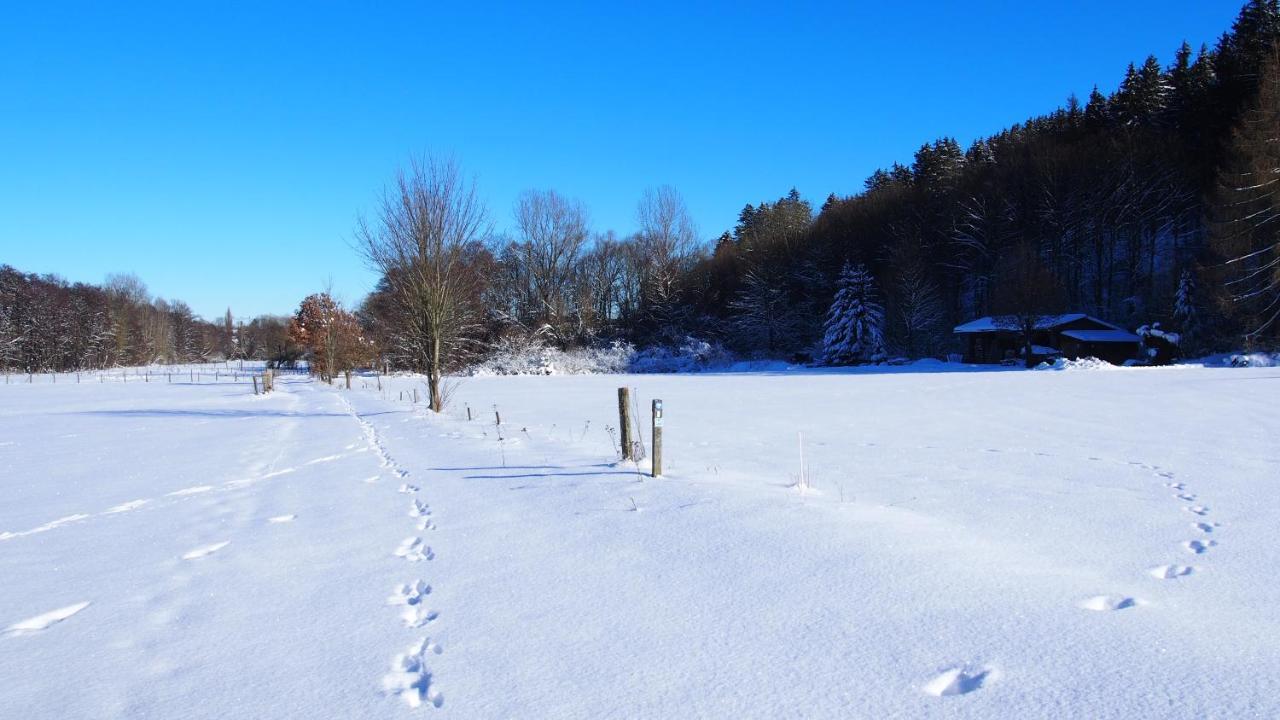 Fewo Talula - Sauerland Mit Hund Medebach Luaran gambar