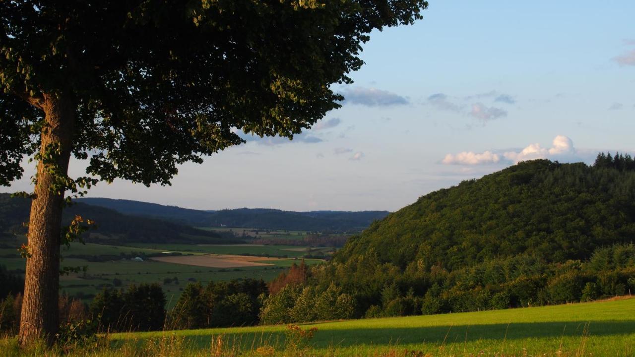 Fewo Talula - Sauerland Mit Hund Medebach Luaran gambar