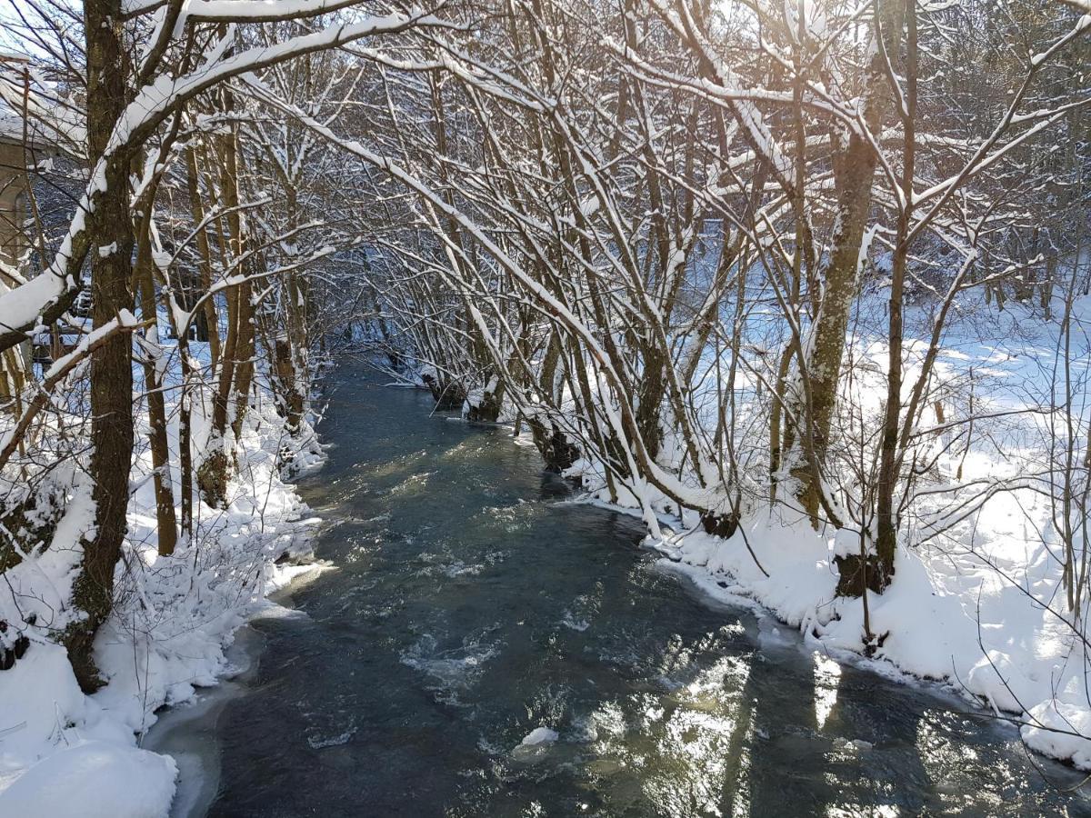 Fewo Talula - Sauerland Mit Hund Medebach Luaran gambar