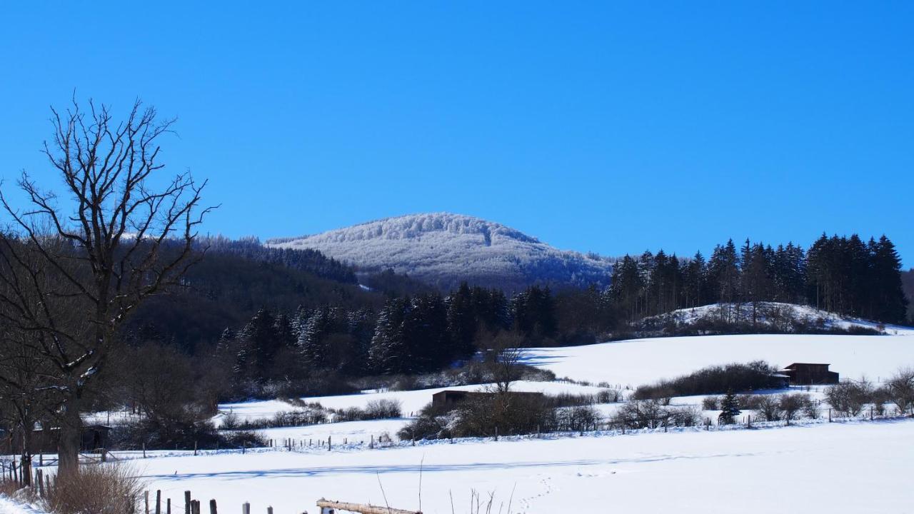 Fewo Talula - Sauerland Mit Hund Medebach Luaran gambar