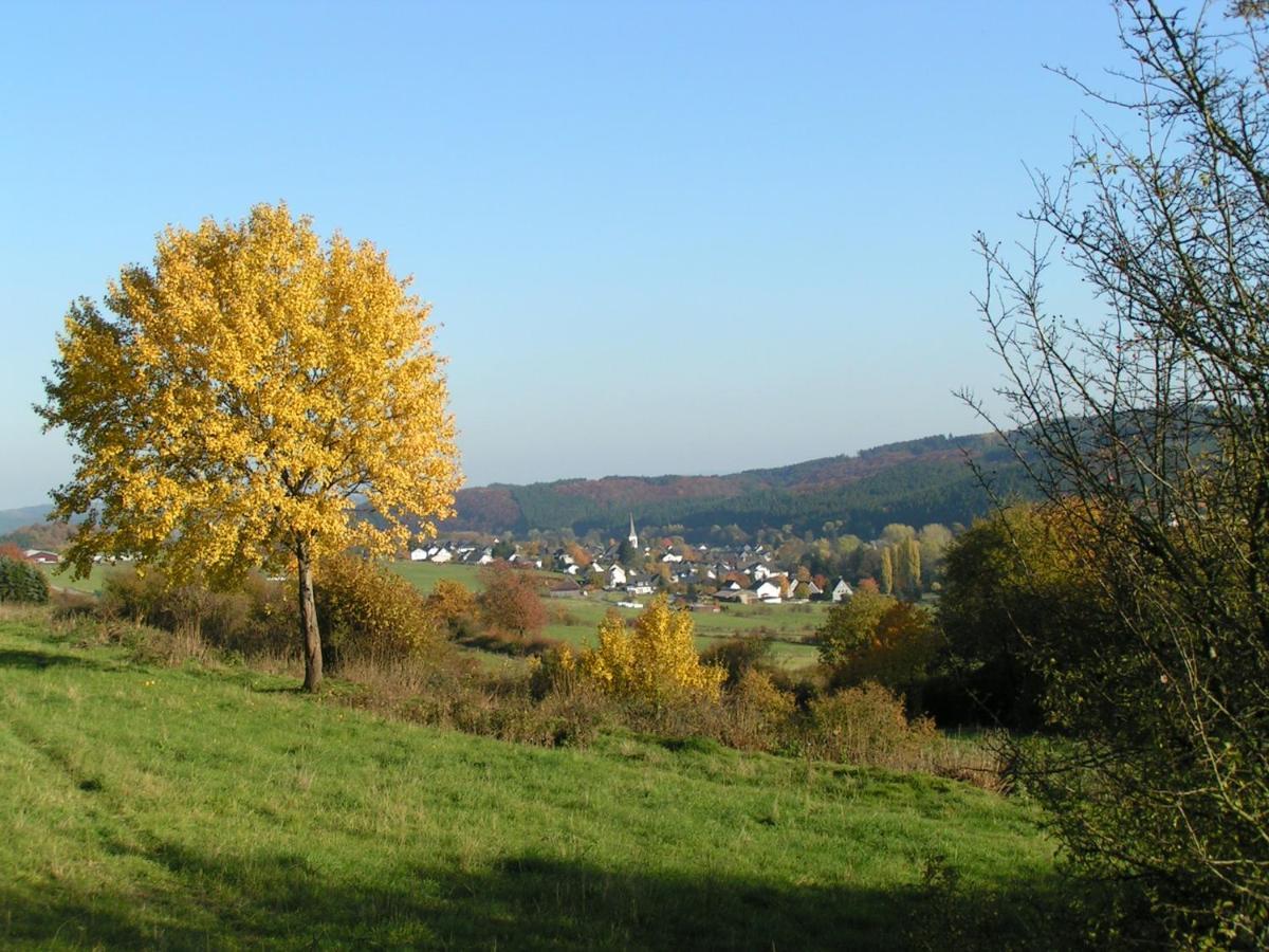 Fewo Talula - Sauerland Mit Hund Medebach Luaran gambar